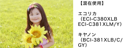 【混在使用】 エコリカ(ECI-C380XLM/Y) キヤノン（BCI-381XLB/C/GY）